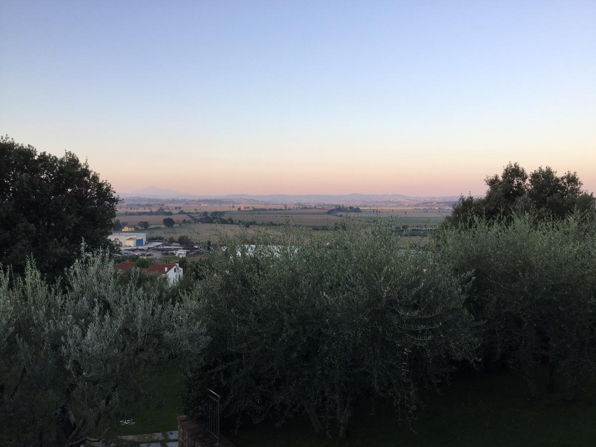 Agriturismo Borgo Tra Gli Olivi Castiglion Fiorentino Exterior photo