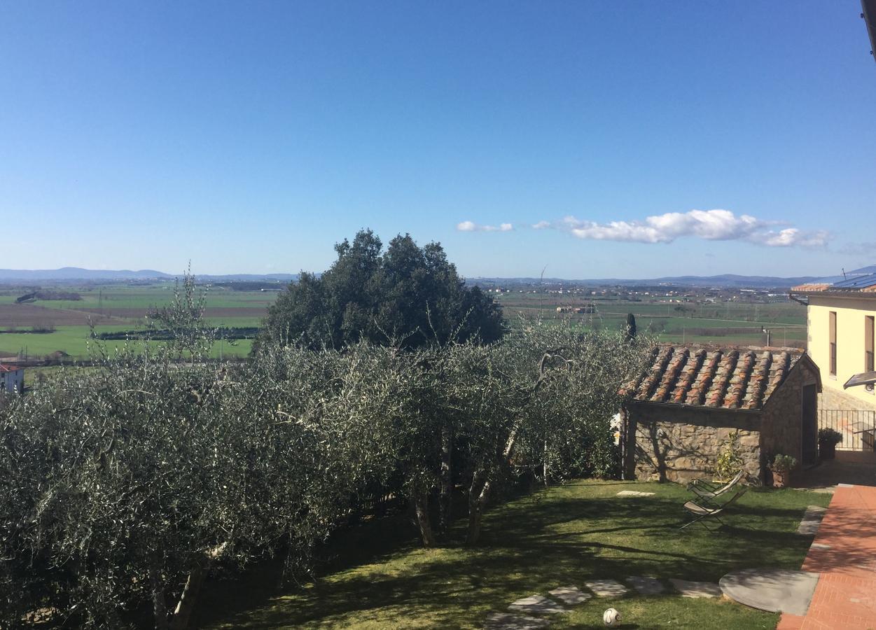 Agriturismo Borgo Tra Gli Olivi Castiglion Fiorentino Exterior photo